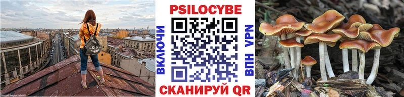 наркошоп OMG как зайти Псилоцибиновые грибы Magic Shrooms Вышний Волочёк